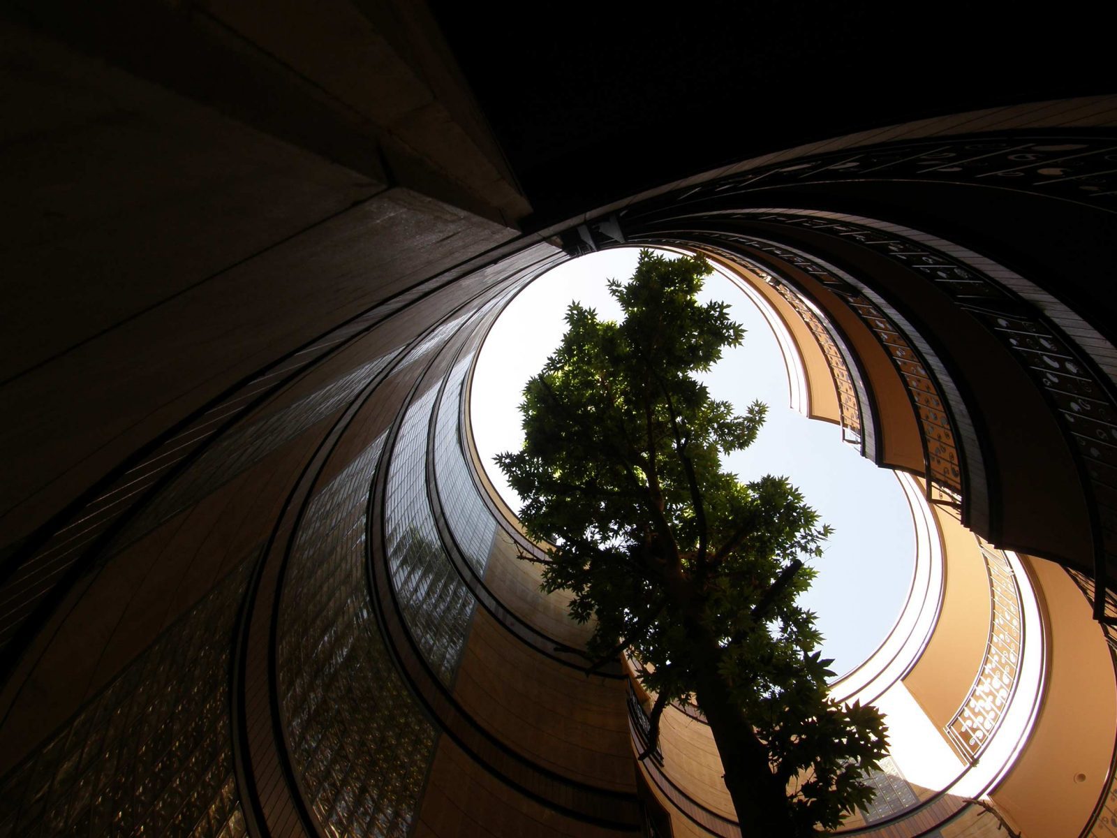 Niavaran - gallery image6