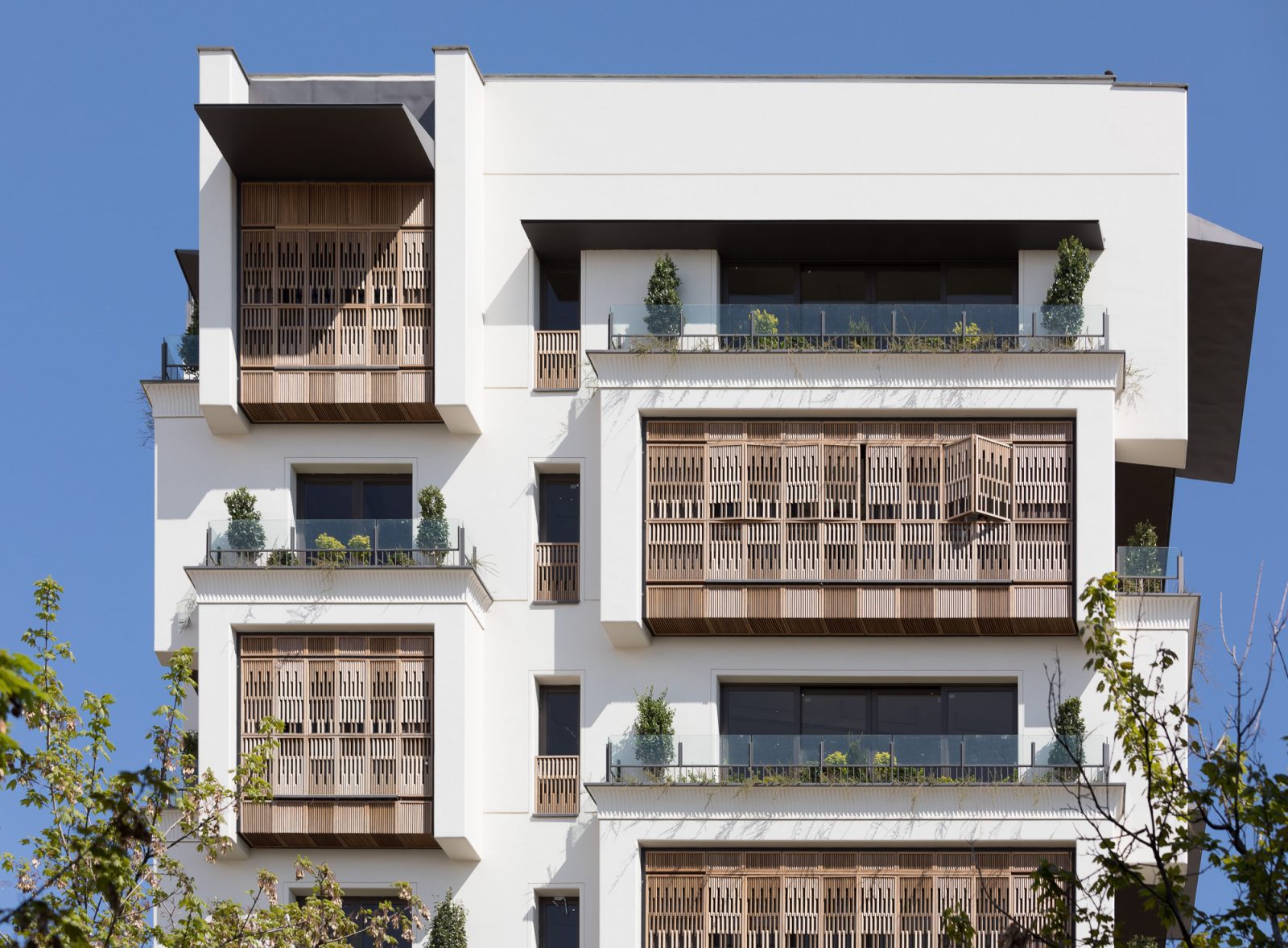 North Golestan-Setare Omran Zamin - gallery image4