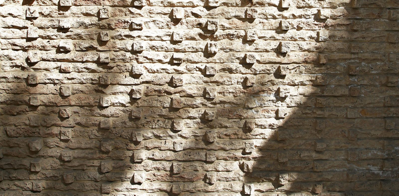 Sarv - gallery image2