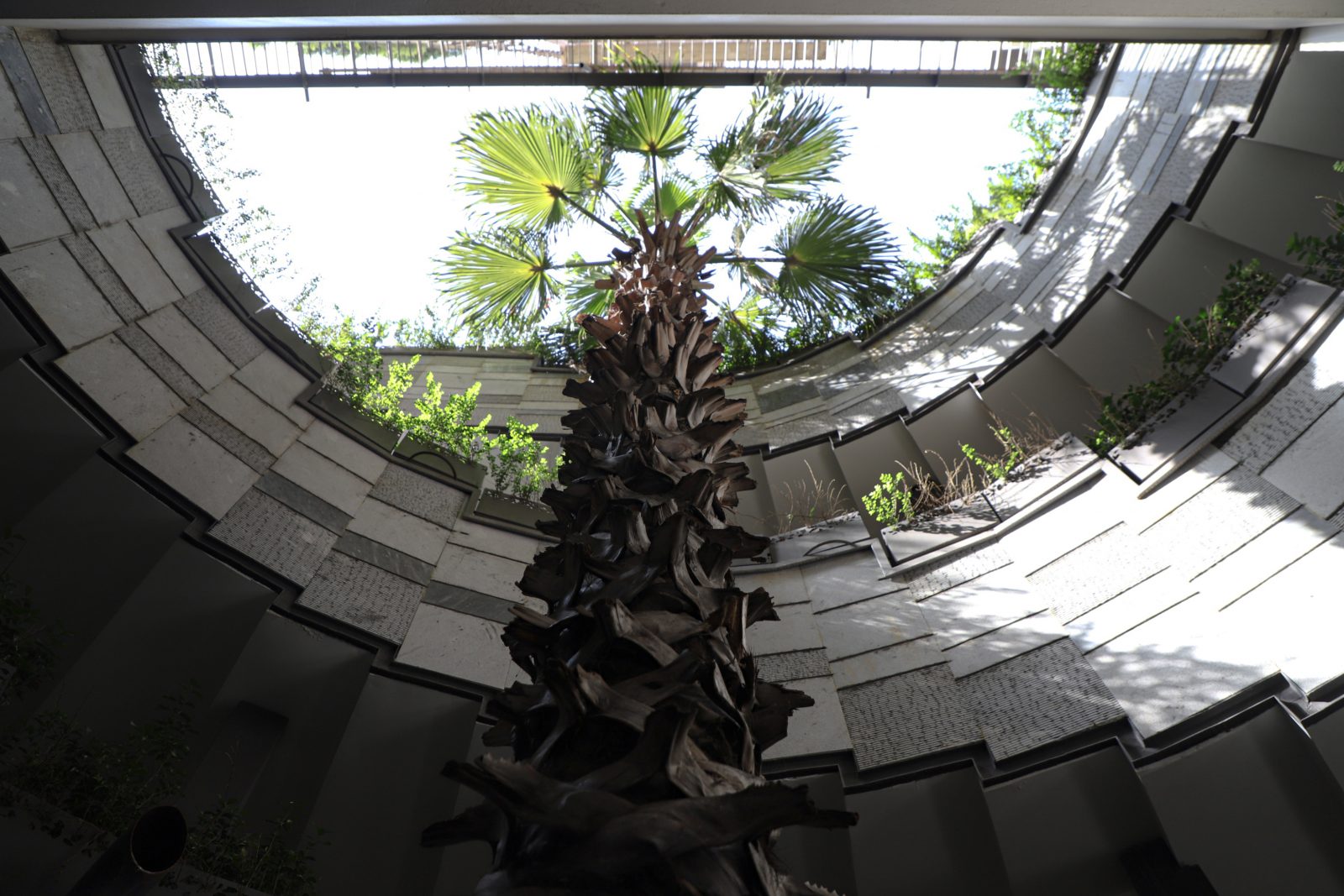 North Golestan-Setare Omran Zamin - gallery image14