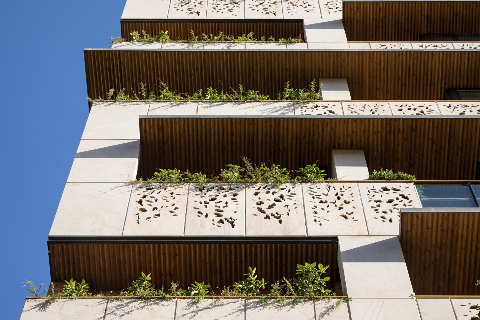 نیکان - gallery image4